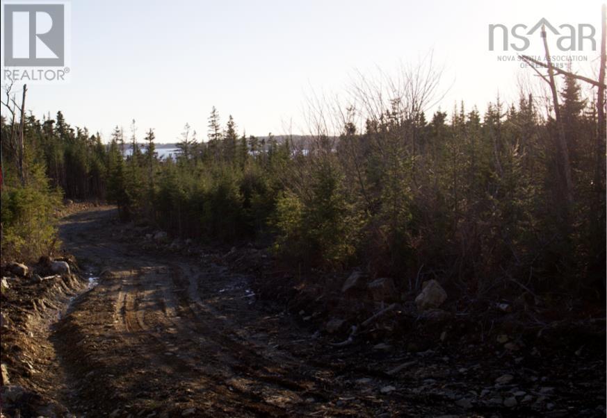 819 West Lawrencetown Road, Lawrencetown, Nova Scotia  B2Z 1S6 - Photo 8 - 202506564