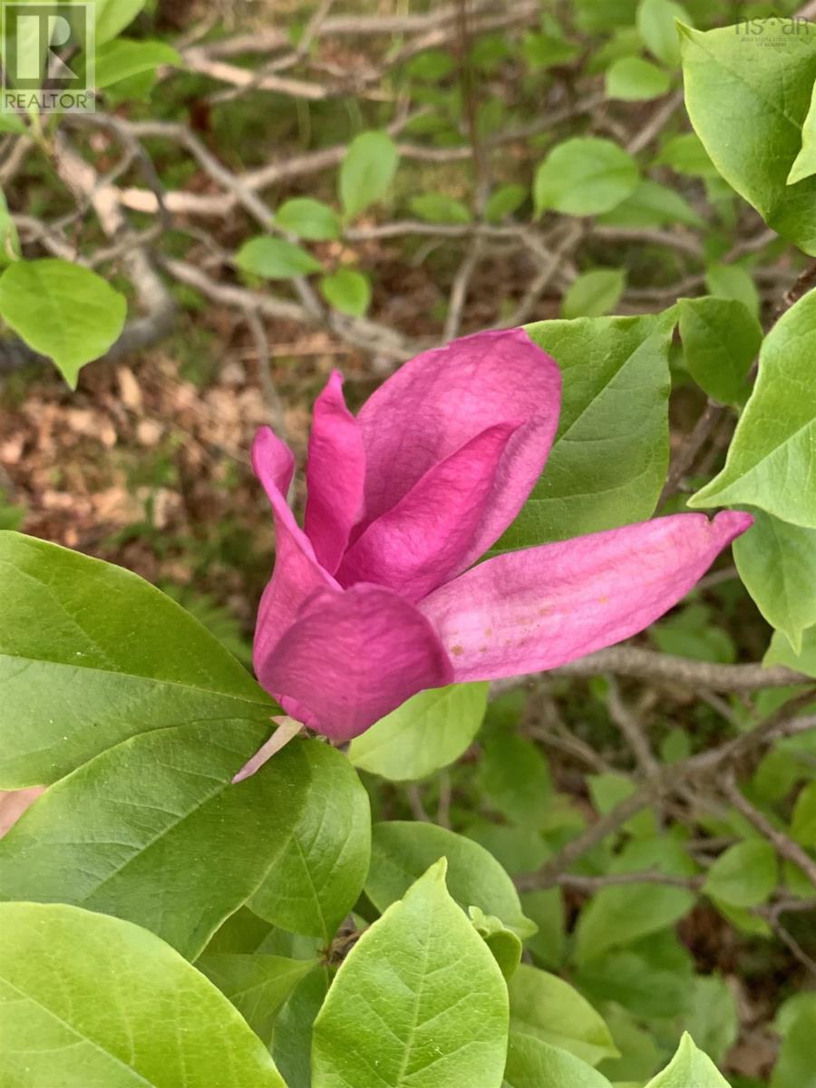 15 Cottage Lane, Windsor Junction, Nova Scotia  B2T 1G7 - Photo 18 - 202521027
