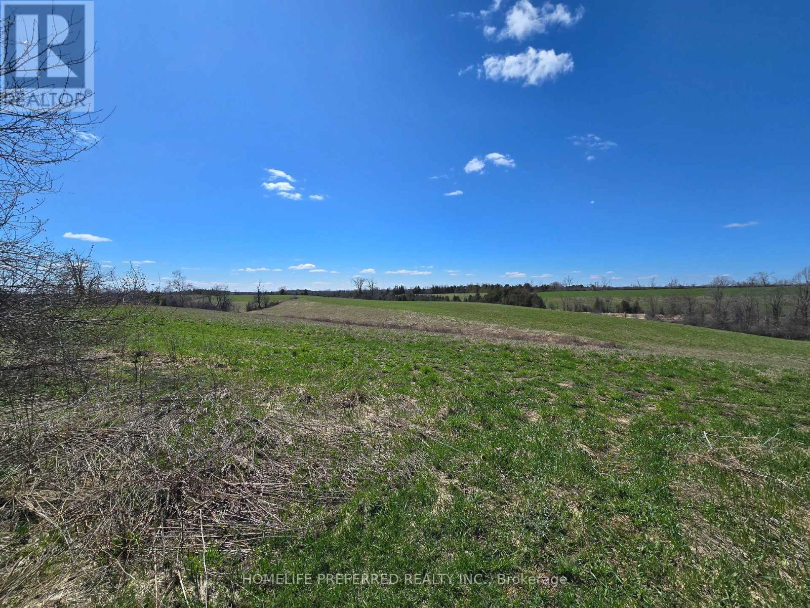 2758 28 Highway, Douro-Dummer, Ontario  K0L 2H0 - Photo 43 - X12922070