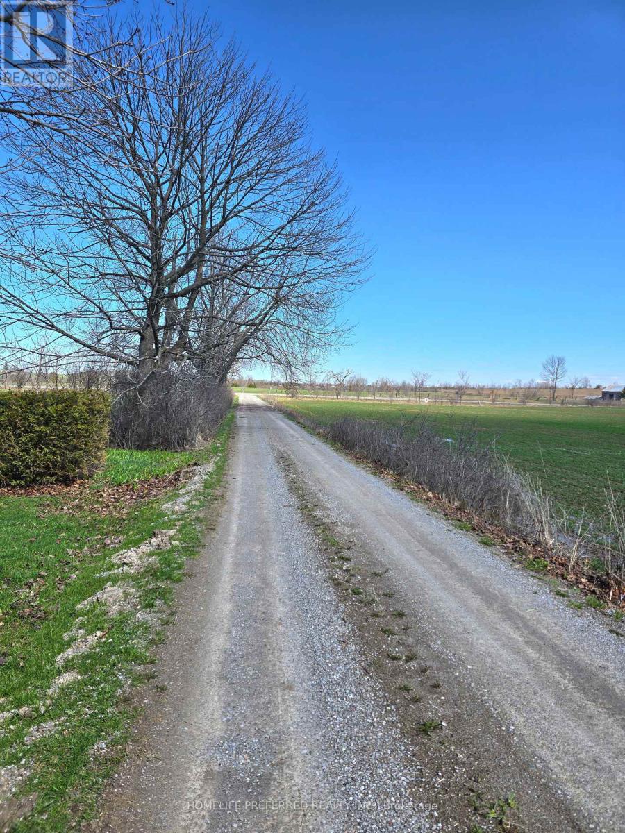 2758 28 Highway, Douro-Dummer, Ontario  K0L 2H0 - Photo 7 - X12922070