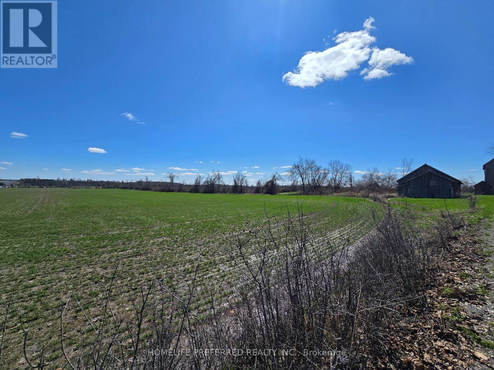 2758 28 Highway, Douro-Dummer, Ontario  K0L 2H0 - Photo 46 - X12922070