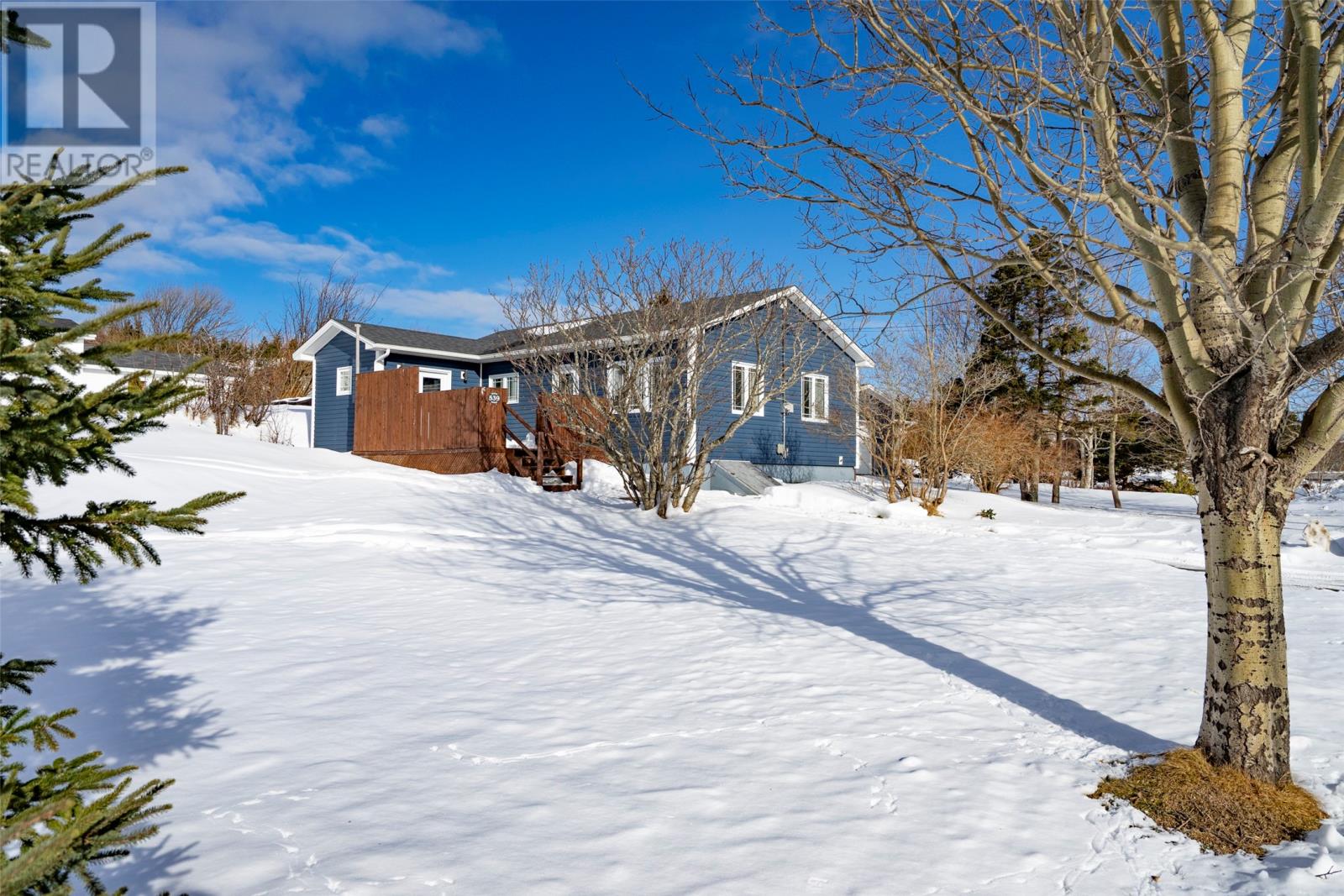 539 Water Street, Bay Roberts, Newfoundland & Labrador  A0A 1G0 - Photo 29 - 1295203