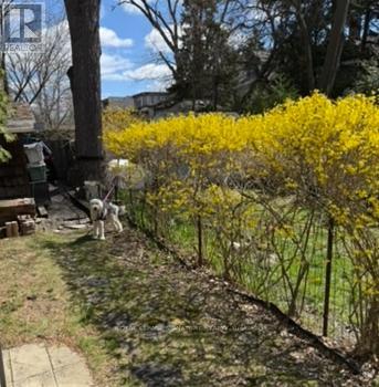 1089 Mt Pleasant Road, Toronto, Ontario  M4P 2M7 - Photo 18 - C13019510