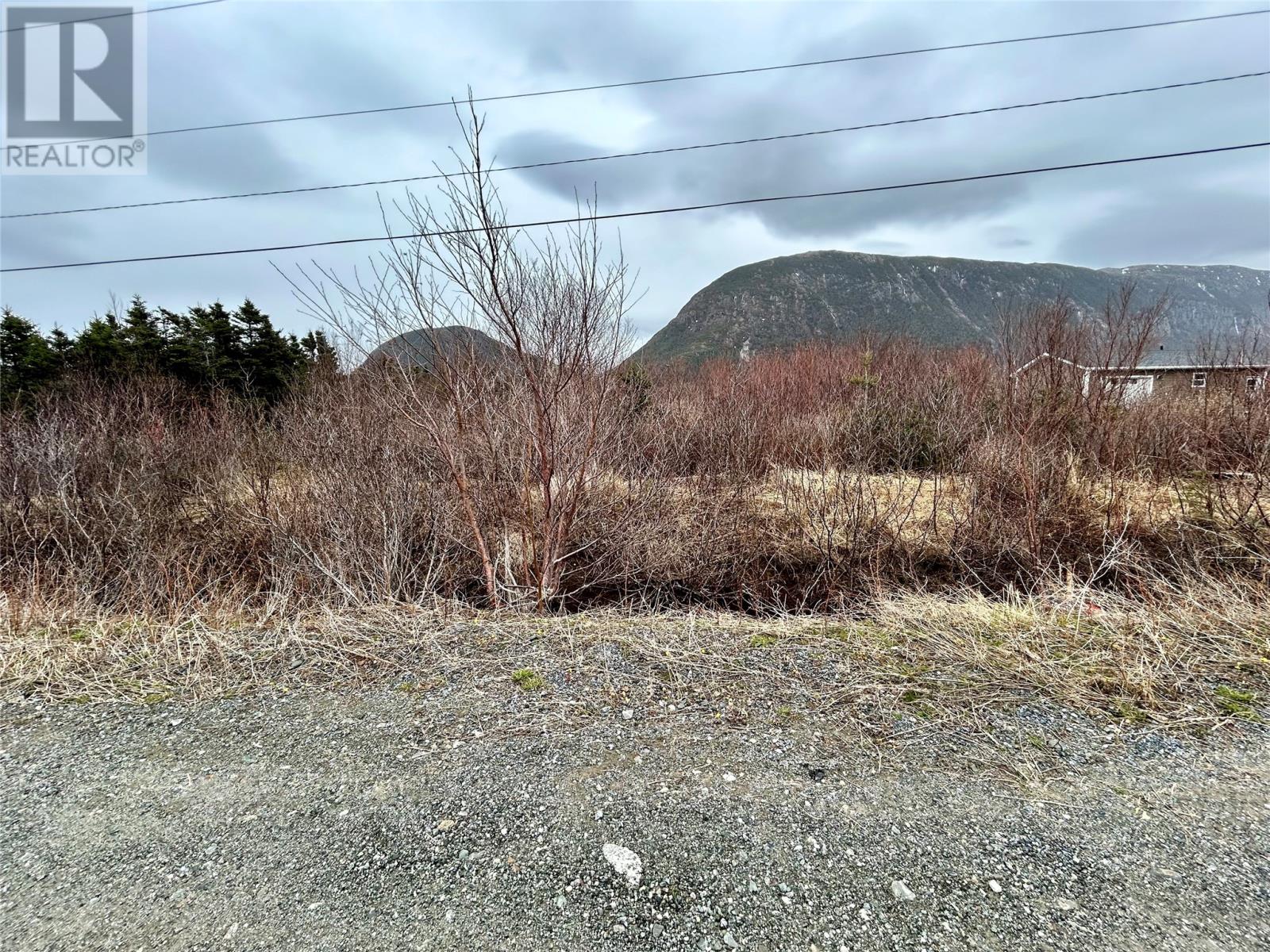 5 Harbourview Road, Lark Harbour, Newfoundland & Labrador  A0L 1H0 - Photo 1 - 1296220