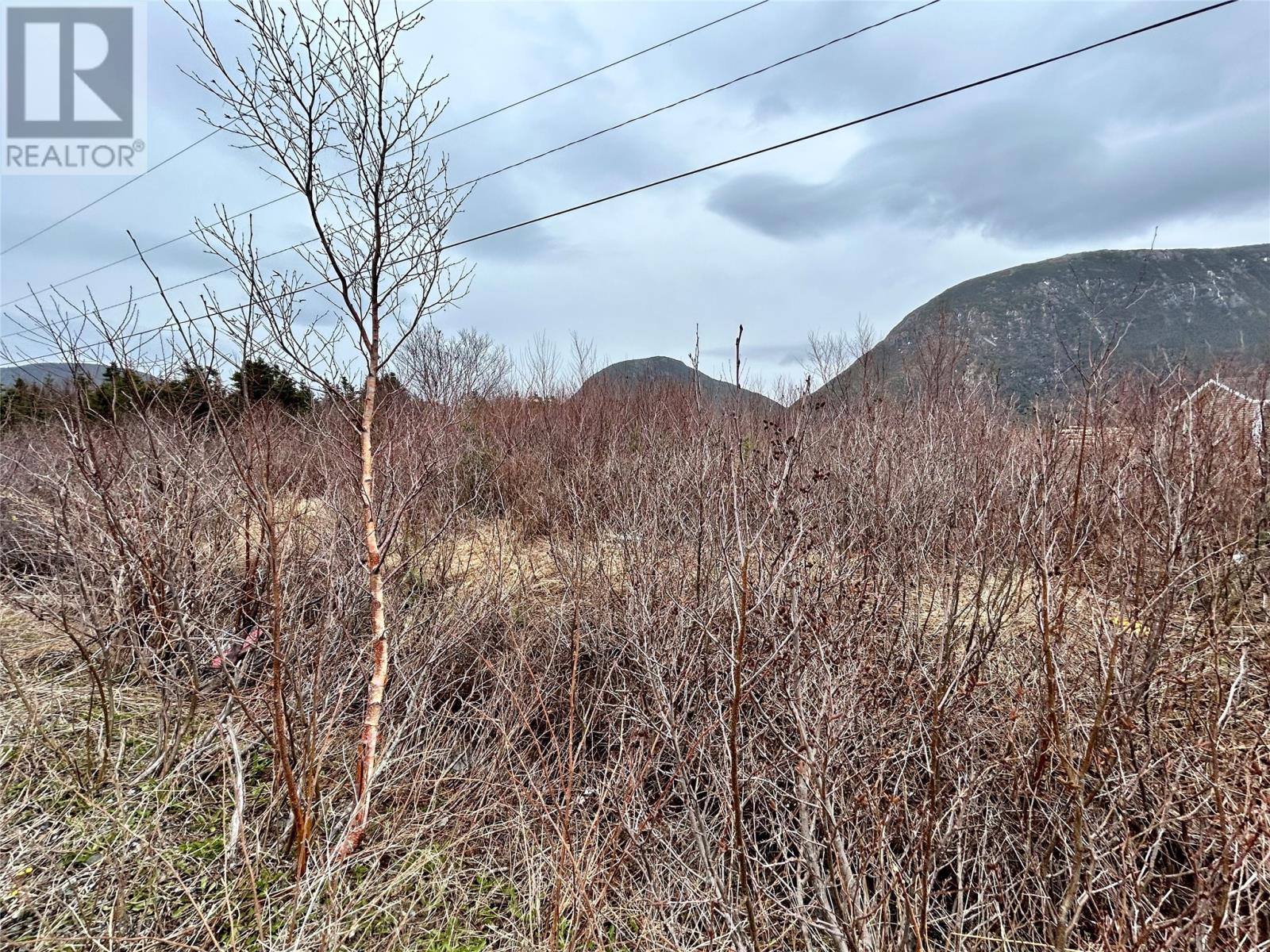 5 Harbourview Road, Lark Harbour, Newfoundland & Labrador  A0L 1H0 - Photo 2 - 1296220