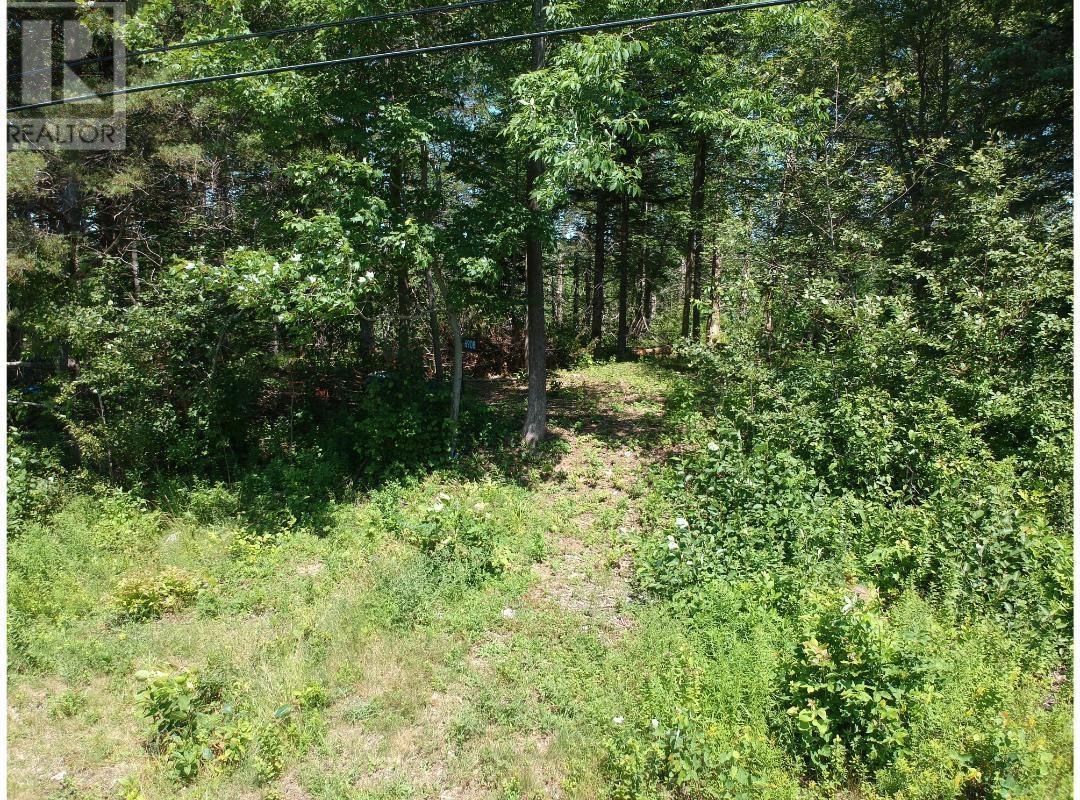 6908 Highway 12, Aldersville, Nova Scotia  B0J 2M0 - Photo 11 - 202529073