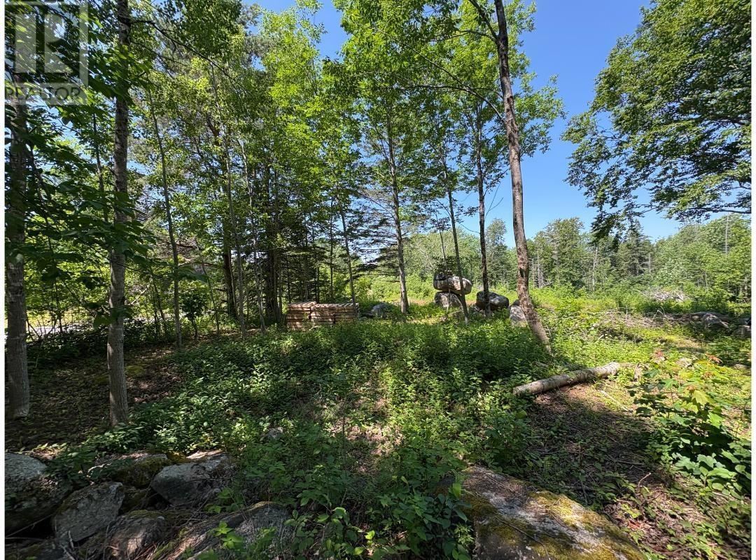 6908 Highway 12, Aldersville, Nova Scotia  B0J 2M0 - Photo 14 - 202529073