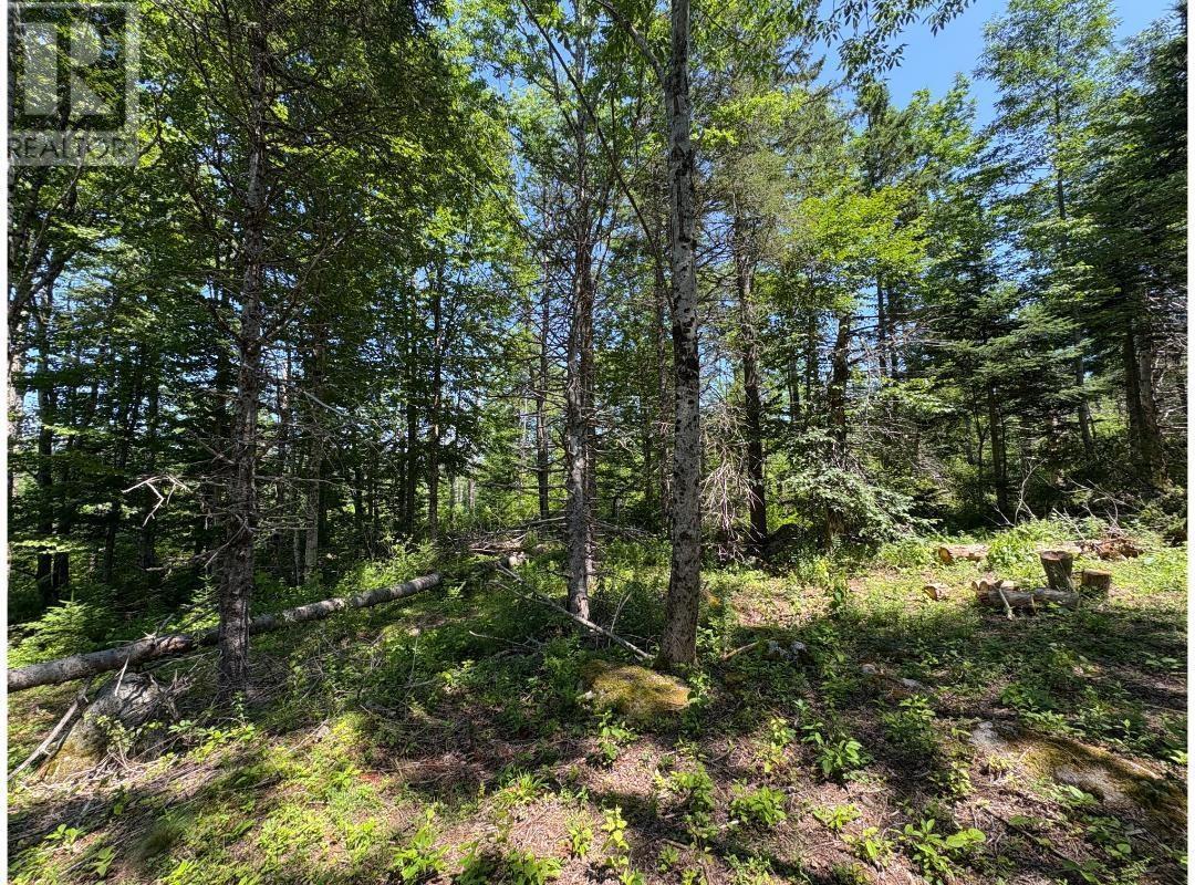 6908 Highway 12, Aldersville, Nova Scotia  B0J 2M0 - Photo 15 - 202529073