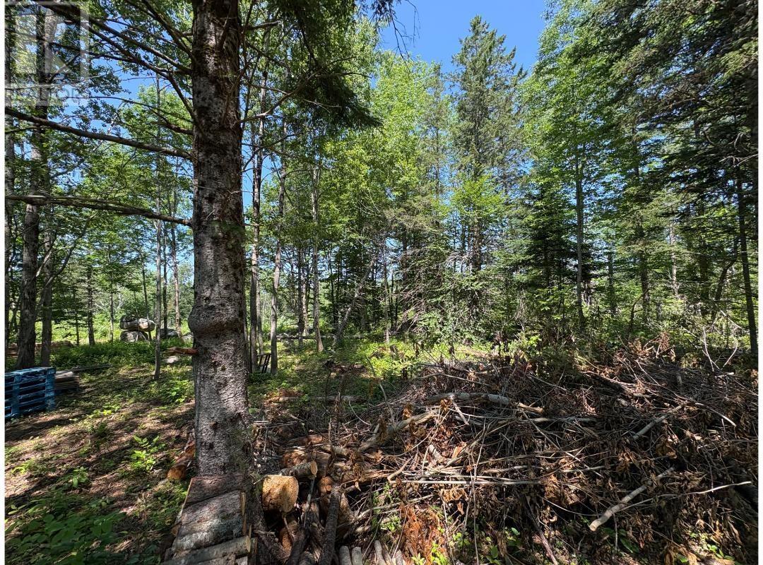 6908 Highway 12, Aldersville, Nova Scotia  B0J 2M0 - Photo 13 - 202529073