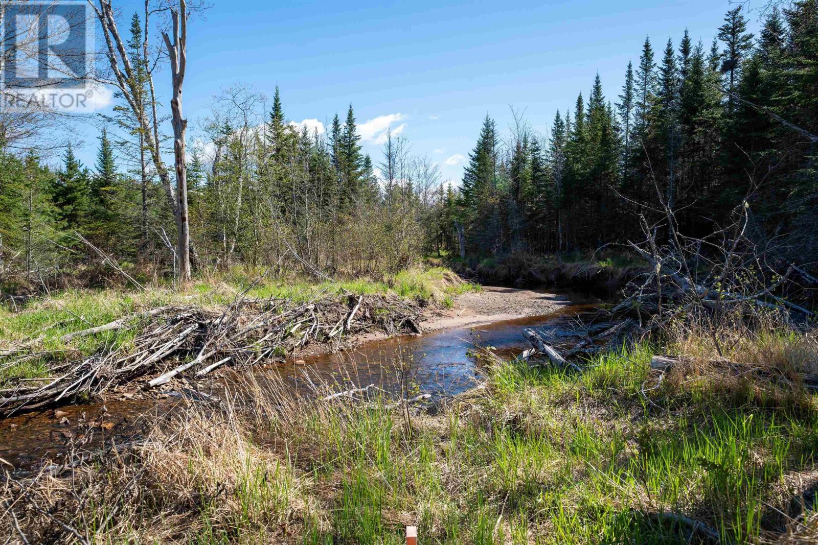 Lot 2 Blois Road, Macphees Corner, Nova Scotia  B0N 2H0 - Photo 14 - 202601433