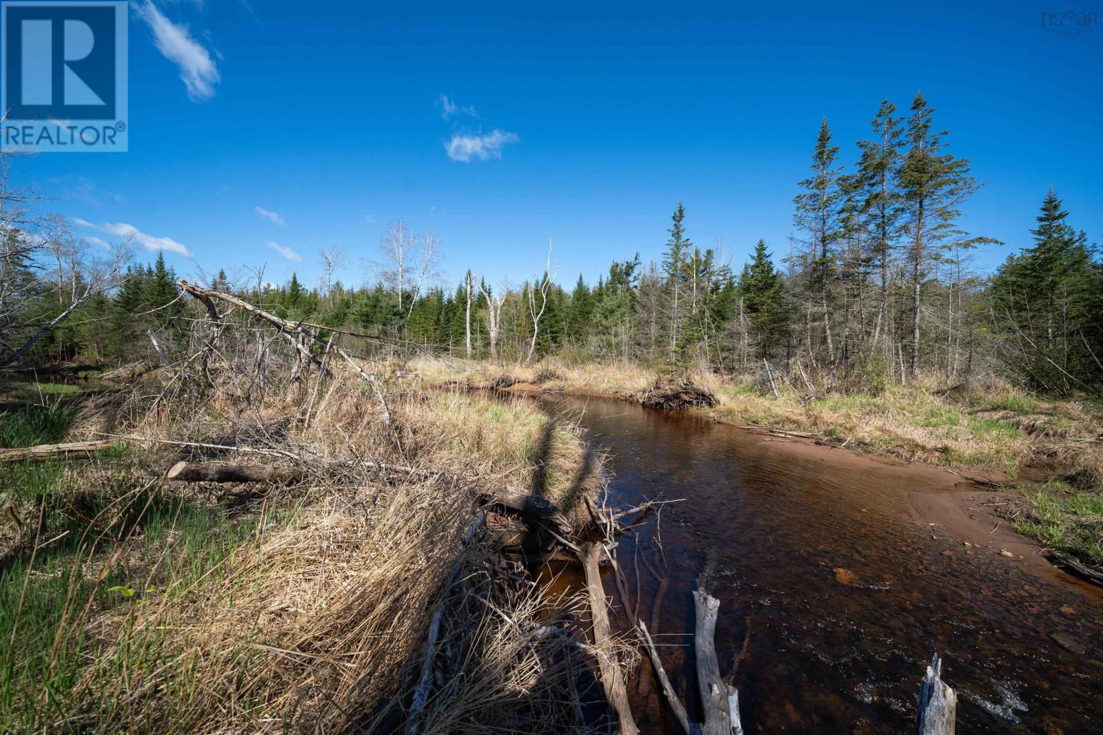 Lot 2 Blois Road, Macphees Corner, Nova Scotia  B0N 2H0 - Photo 13 - 202601433