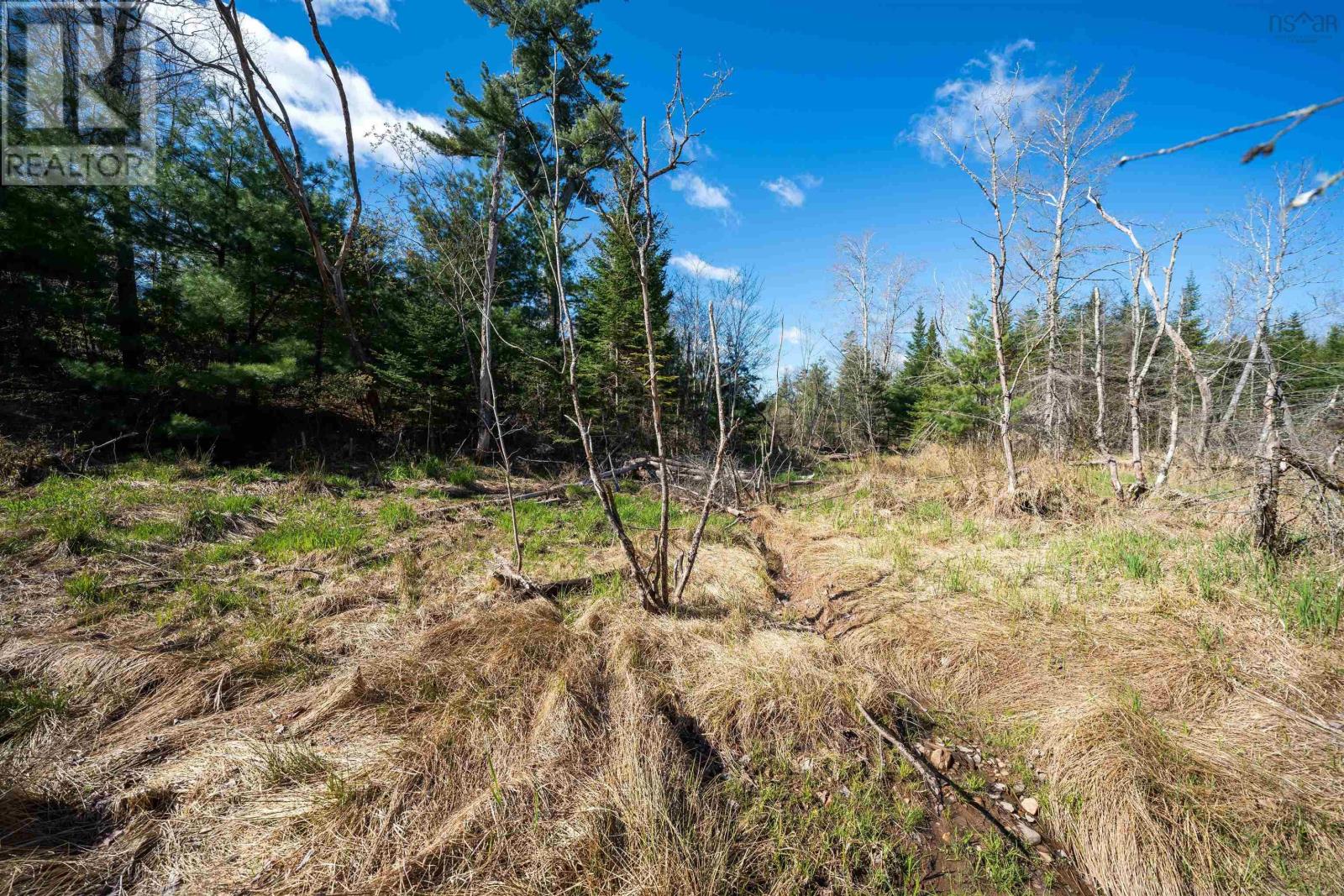Lot 2 Blois Road, Macphees Corner, Nova Scotia  B0N 2H0 - Photo 15 - 202601433