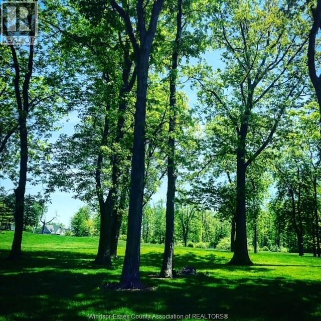 329 Crystal Bay Drive, Amherstburg, Ontario  N9V 4A7 - Photo 5 - 26008694