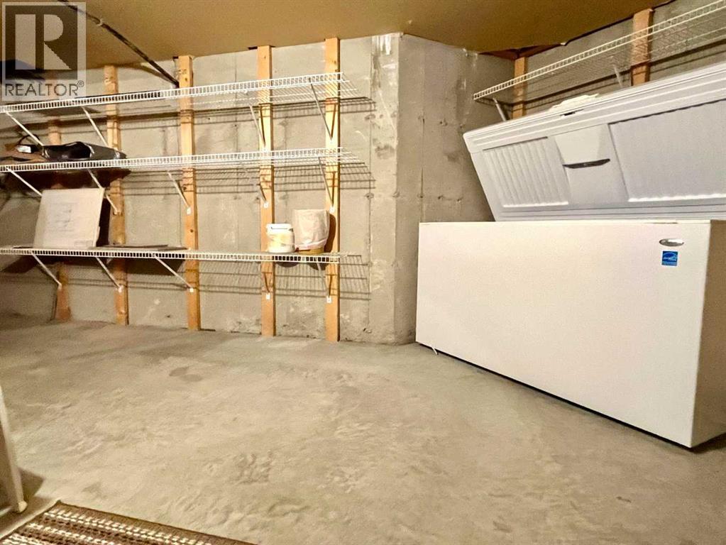 328 Parkview Estates, Strathmore, Alberta  T1P 1K8 - Photo 40 - A2301675