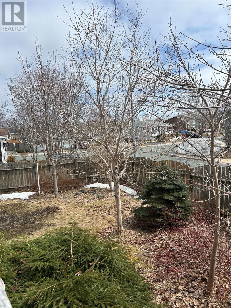 1 Rideau Place, Mount Pearl, Newfoundland & Labrador  A1N 4C1 - Photo 4 - 1296288