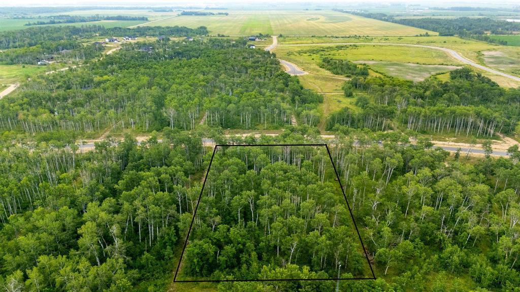 93 Spence Street, La Broquerie, Manitoba  R0A 0W1 - Photo 4 - 202600160