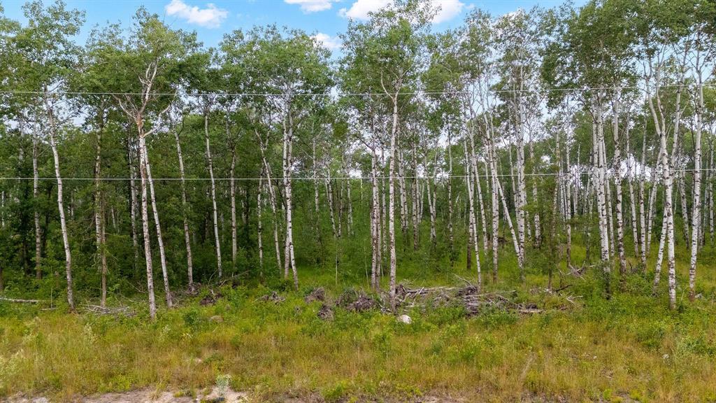 93 Spence Street, La Broquerie, Manitoba