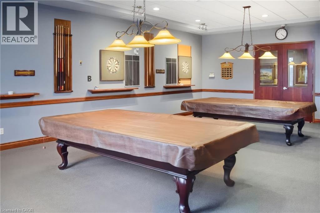 46 Manitoulin Trail, Hamilton, Ontario  L9B 2X8 - Photo 30 - 40805507