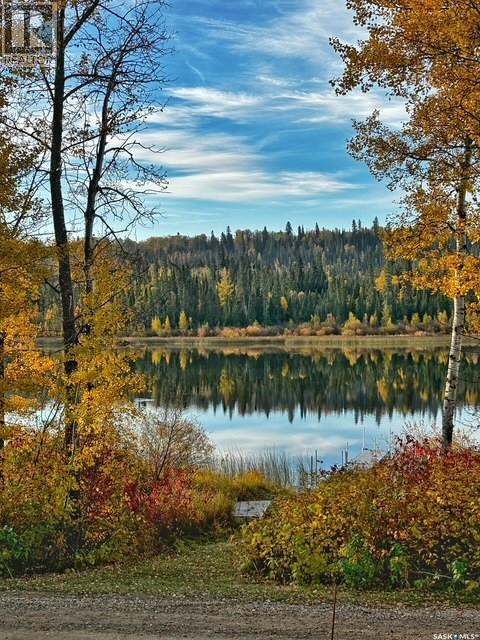 113 Poplar Crescent, Hudson Bay Rm No. 394, Saskatchewan  S0E 0Y0 - Photo 54 - SK033377