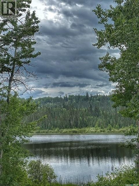 113 Poplar Crescent, Hudson Bay Rm No. 394, Saskatchewan  S0E 0Y0 - Photo 55 - SK033377