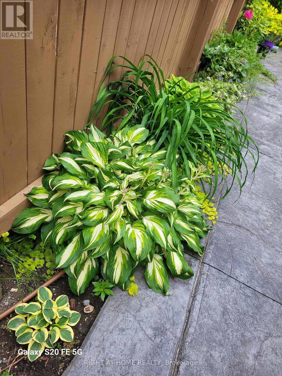 22 Lavender Place, Belleville, Ontario  K8P 0B9 - Photo 30 - X13023752