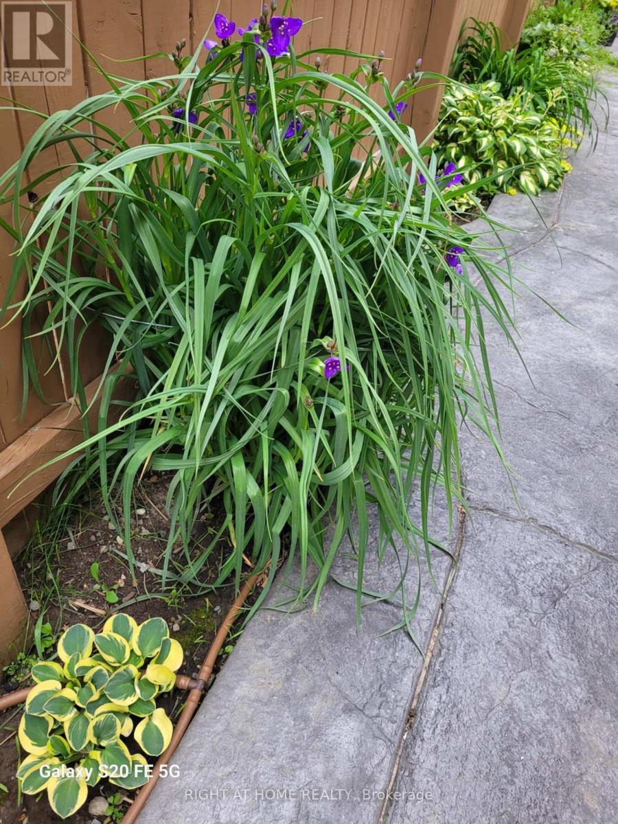 22 Lavender Place, Belleville, Ontario  K8P 0B9 - Photo 31 - X13023752