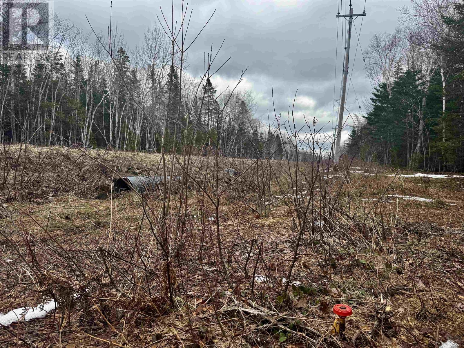 Basin Rd., Whiteside, Nova Scotia  B0E 1J0 - Photo 3 - 202608077