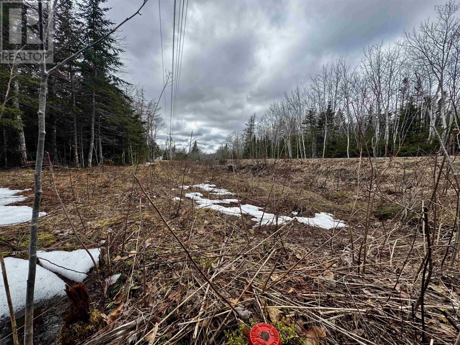 Basin Rd., Whiteside, Nova Scotia  B0E 1J0 - Photo 4 - 202608077