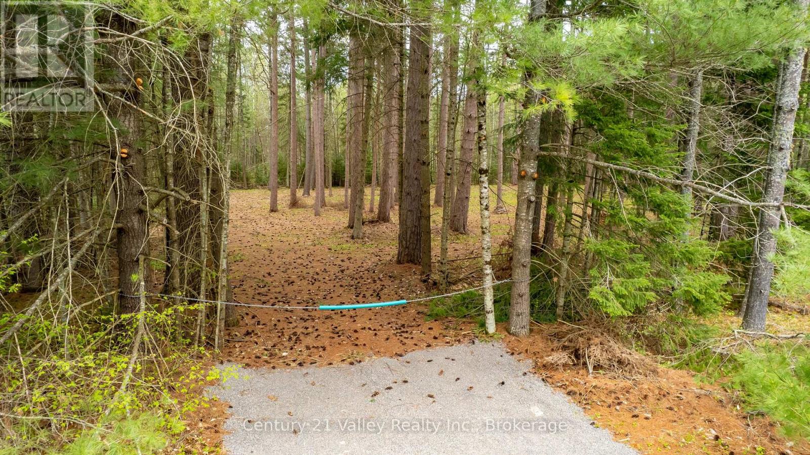 536 Pine Street, Greater Madawaska, Ontario  K0J 2R0 - Photo 1 - X13023640