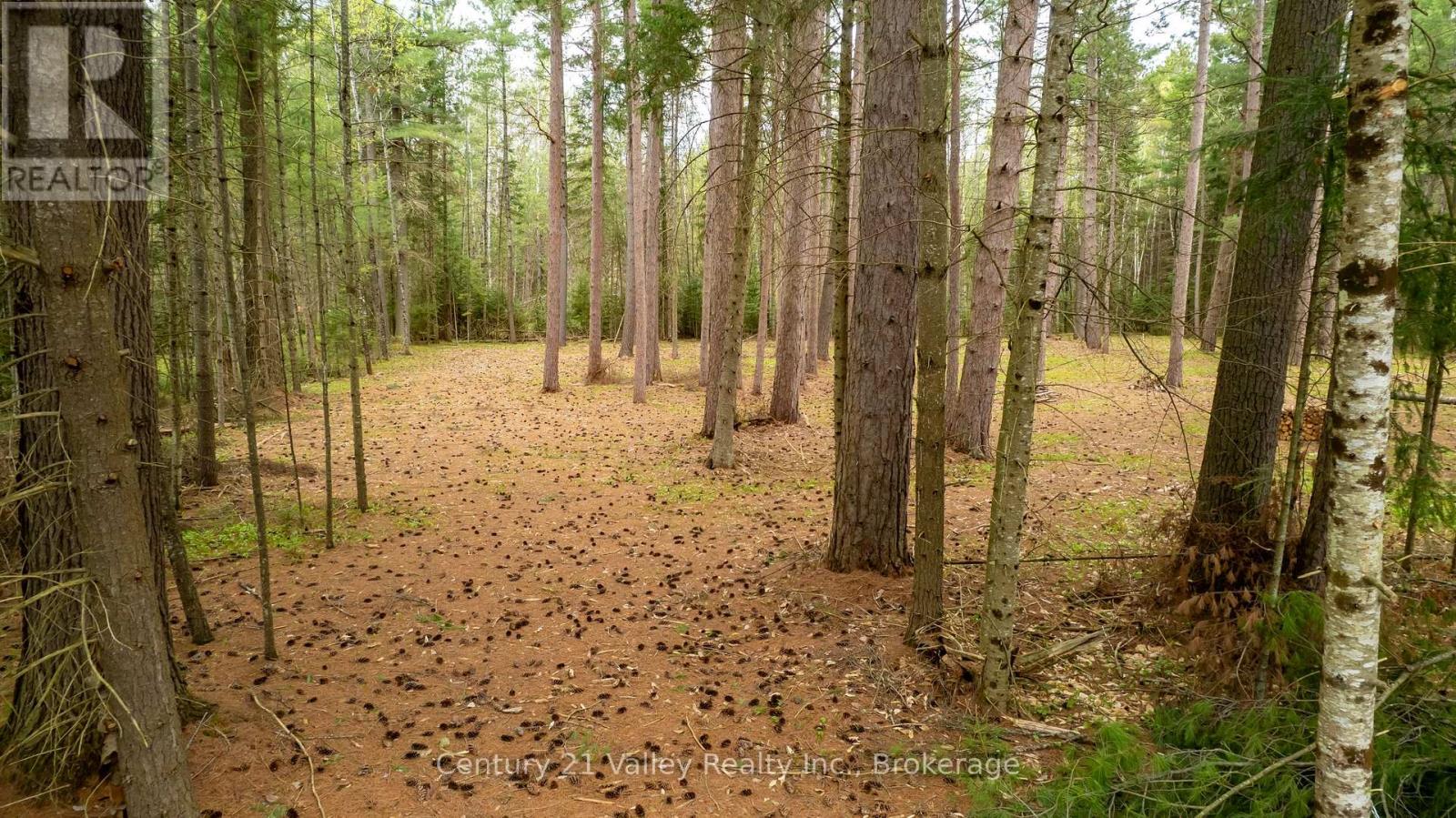 536 Pine Street, Greater Madawaska, Ontario  K0J 2R0 - Photo 10 - X13023640