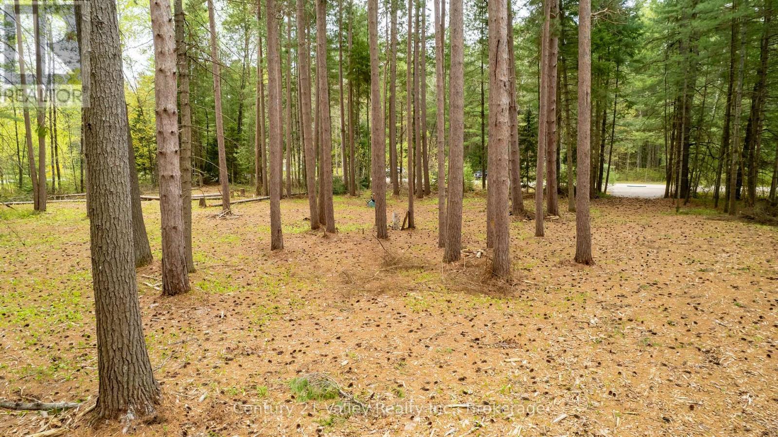 536 Pine Street, Greater Madawaska, Ontario  K0J 2R0 - Photo 11 - X13023640