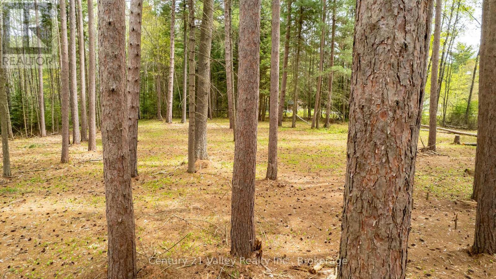 536 Pine Street, Greater Madawaska, Ontario  K0J 2R0 - Photo 2 - X13023640