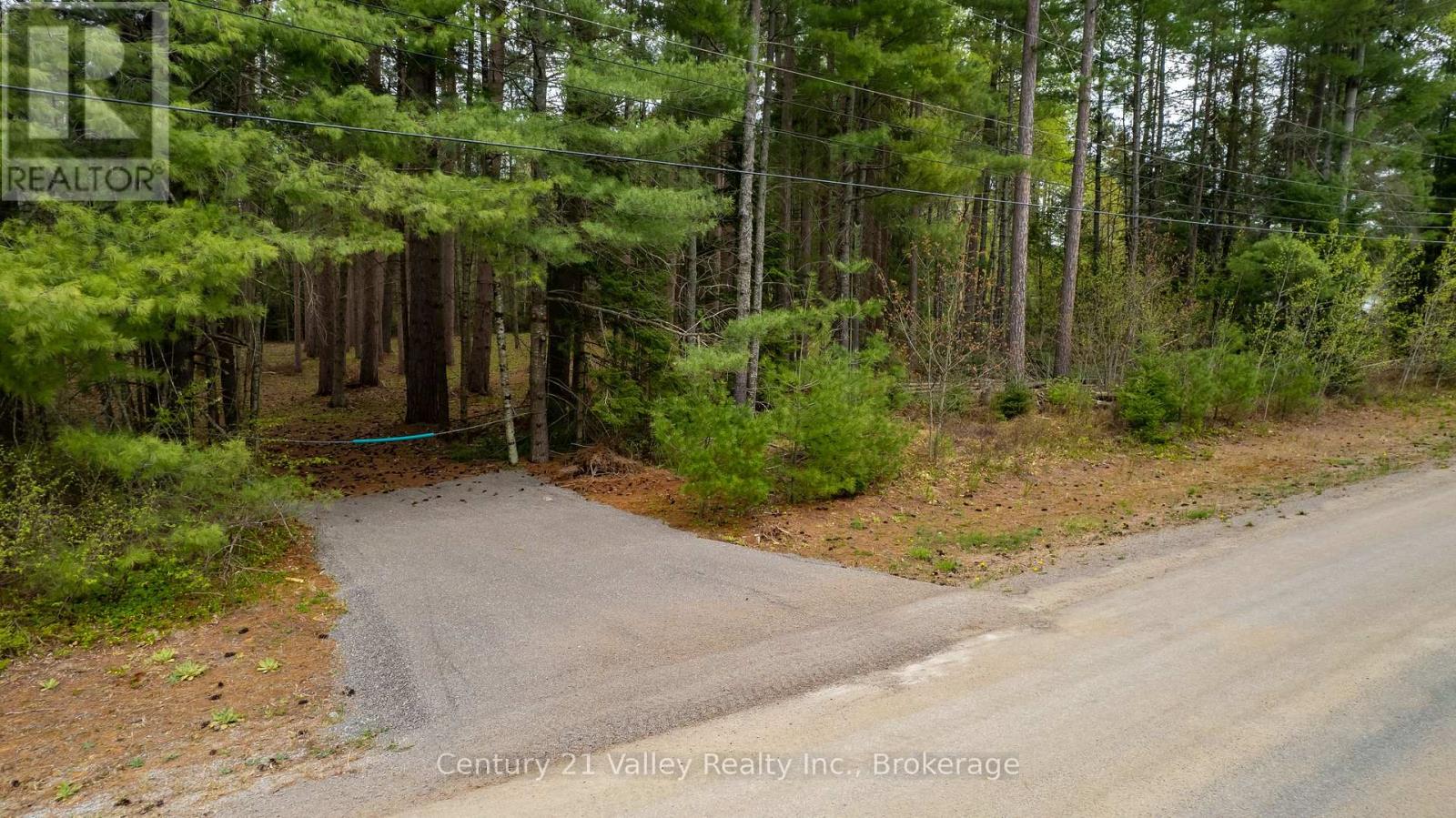 536 Pine Street, Greater Madawaska, Ontario  K0J 2R0 - Photo 25 - X13023640