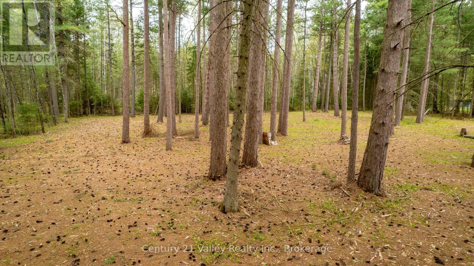 536 Pine Street, Greater Madawaska, Ontario  K0J 2R0 - Photo 26 - X13023640