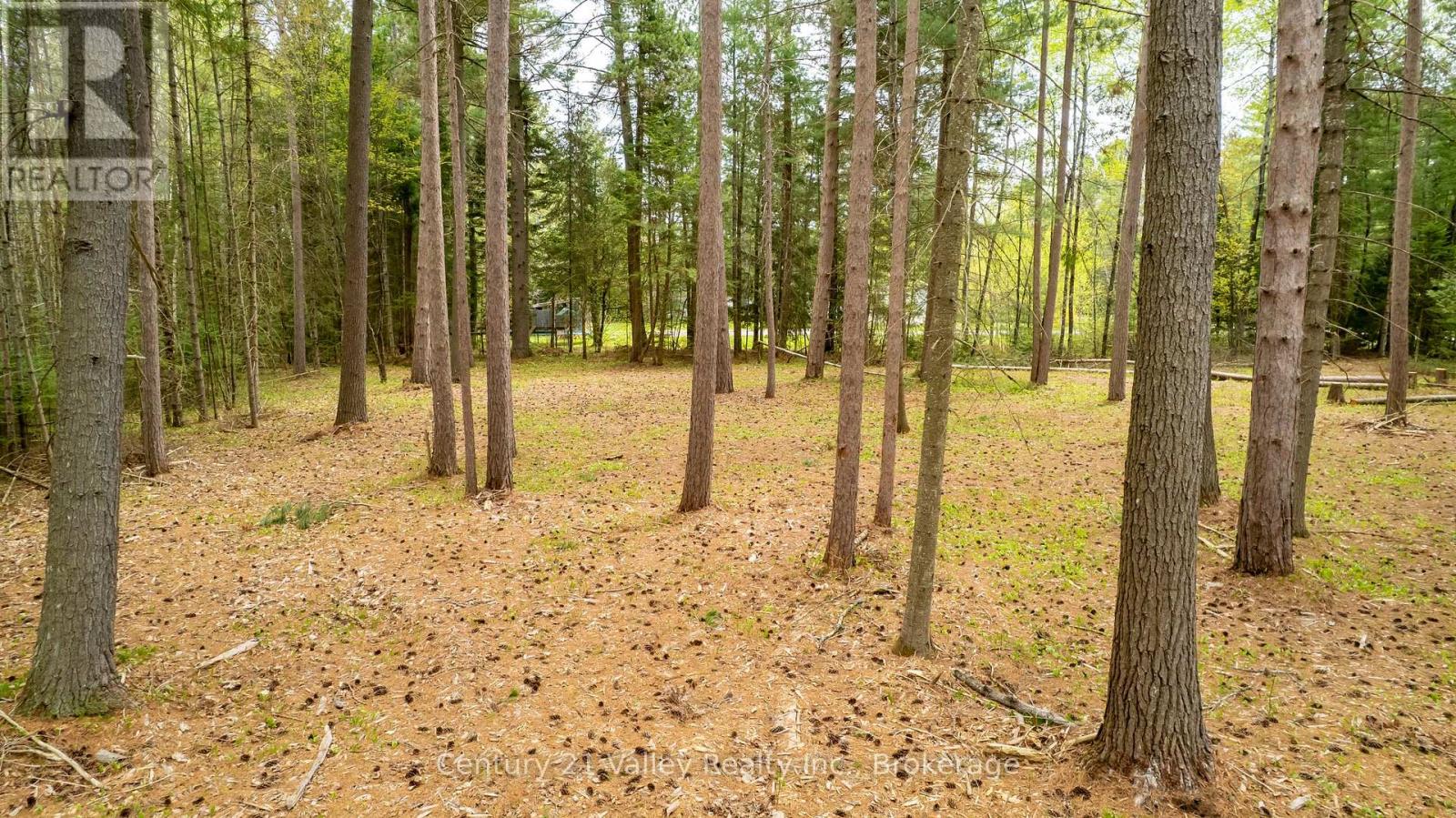 536 Pine Street, Greater Madawaska, Ontario  K0J 2R0 - Photo 27 - X13023640