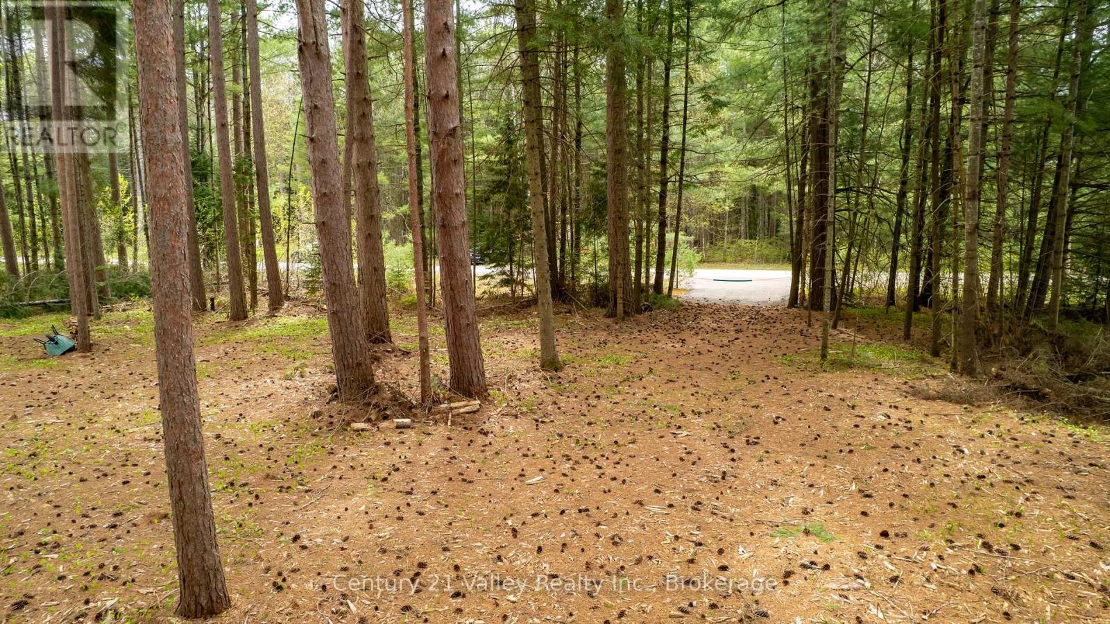 536 Pine Street, Greater Madawaska, Ontario  K0J 2R0 - Photo 3 - X13023640