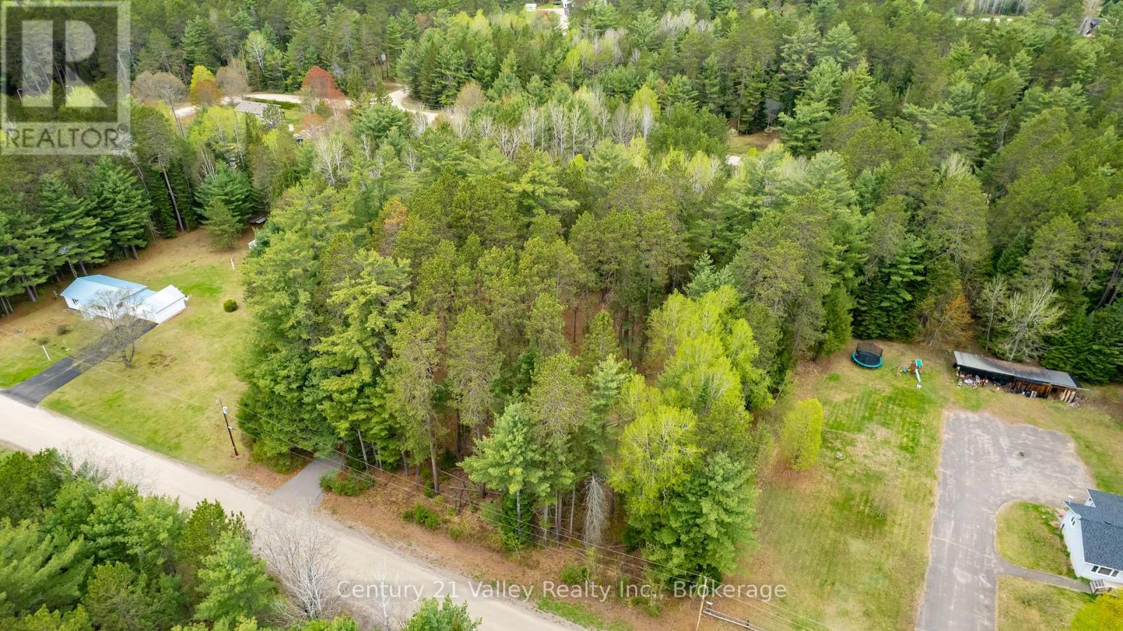 536 Pine Street, Greater Madawaska, Ontario  K0J 2R0 - Photo 4 - X13023640