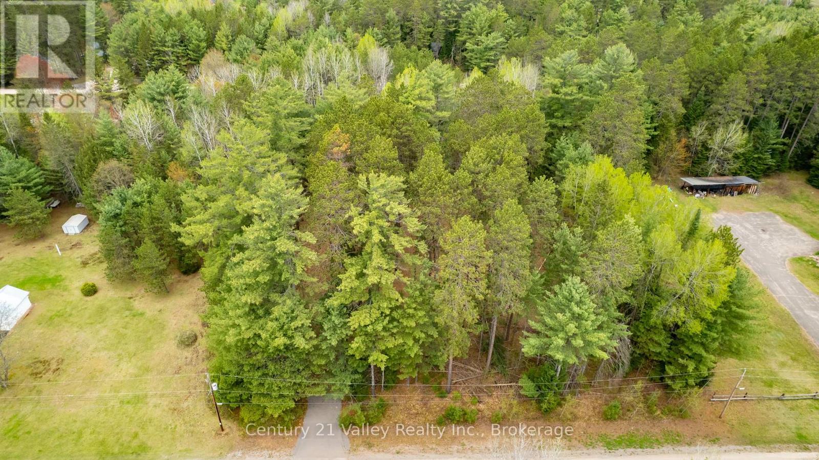 536 Pine Street, Greater Madawaska, Ontario  K0J 2R0 - Photo 44 - X13023640