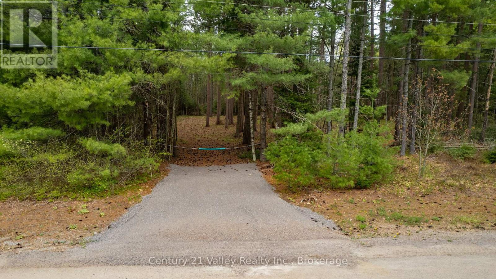 536 Pine Street, Greater Madawaska, Ontario  K0J 2R0 - Photo 9 - X13023640