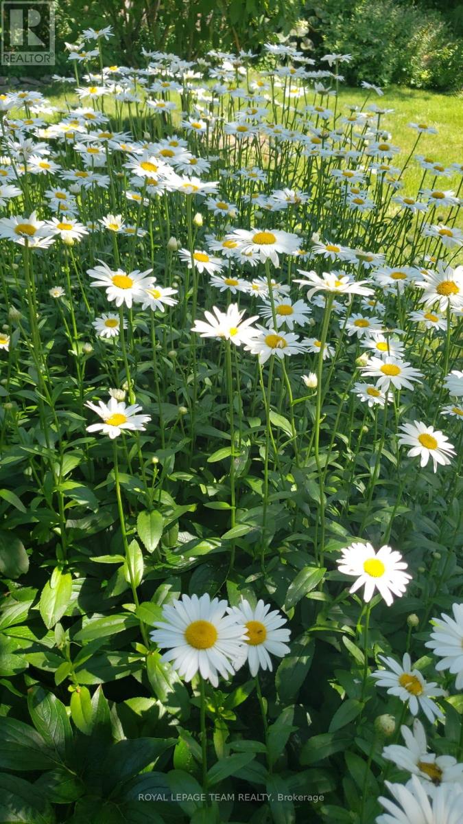 128 Welborne Avenue, Kingston, Ontario  K7M 4E9 - Photo 40 - X13023668