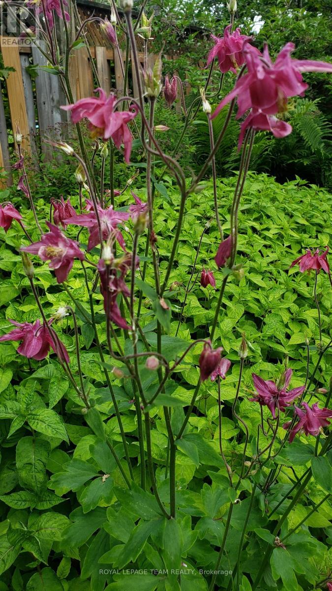 128 Welborne Avenue, Kingston, Ontario  K7M 4E9 - Photo 41 - X13023668