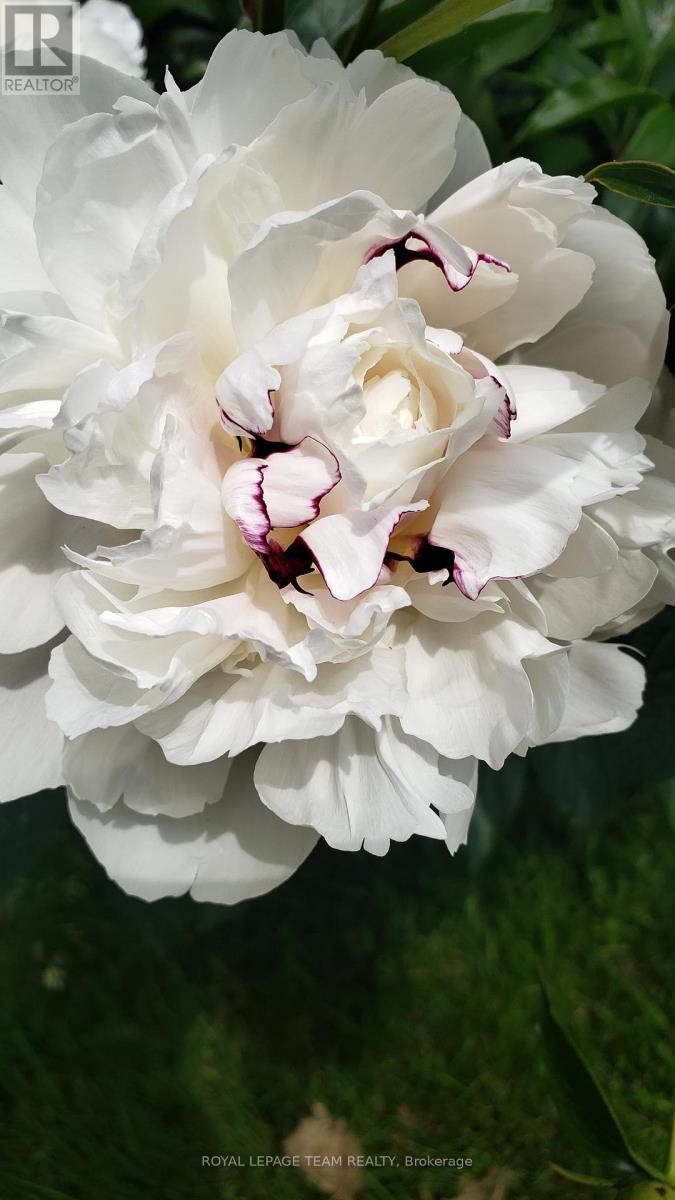 128 Welborne Avenue, Kingston, Ontario  K7M 4E9 - Photo 43 - X13023668