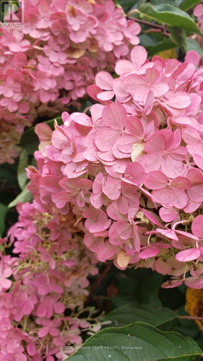 128 Welborne Avenue, Kingston, Ontario  K7M 4E9 - Photo 44 - X13023668