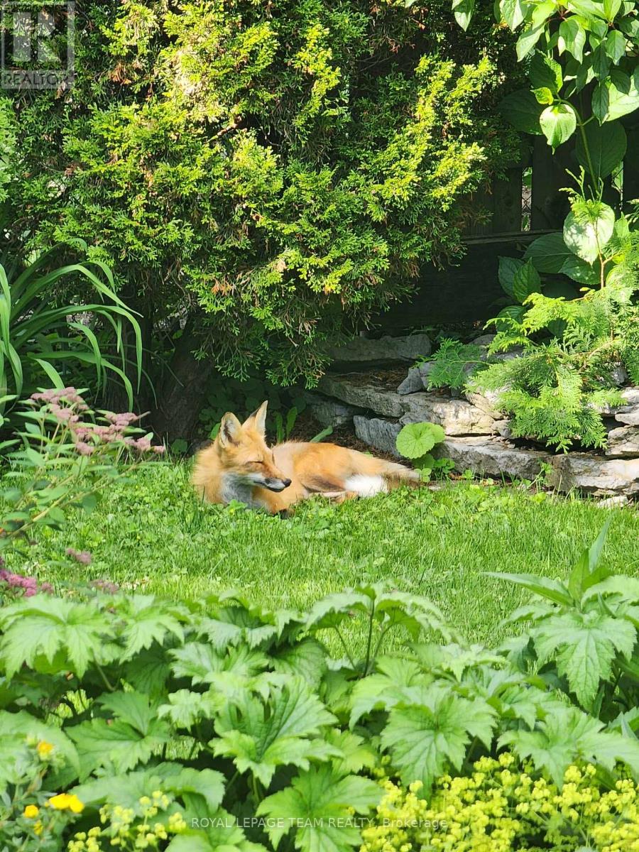 128 Welborne Avenue, Kingston (City Southwest), Ontario  K7M 4E9 - Photo 45 - X13023668