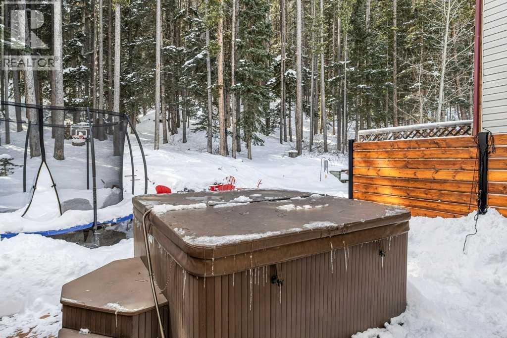 979 Wilson Way, Canmore, Alberta  T1W 2Y9 - Photo 25 - A2299675