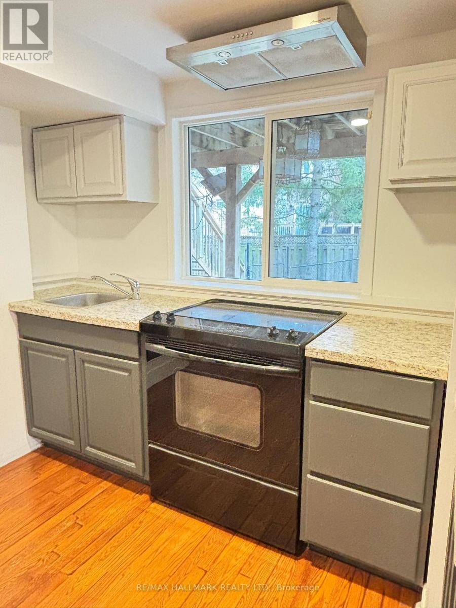 Bsmnt - 410 Clearmeadow Boulevard, Newmarket, Ontario  L3X 2C7 - Photo 10 - N13023690