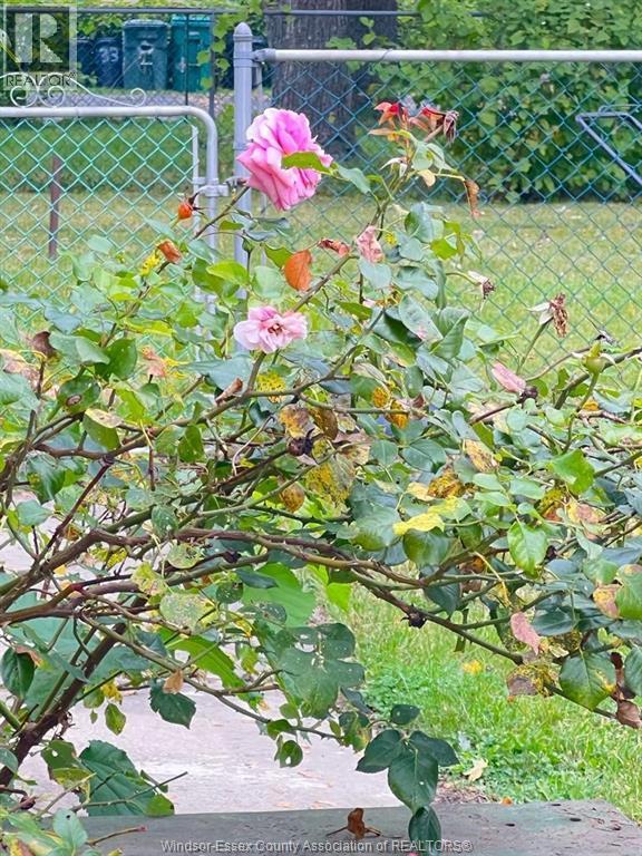 1058 California, Windsor, Ontario  N9B 2Z7 - Photo 22 - 26008697