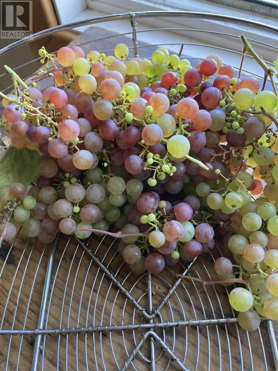 9295 Hwy#366 Highway, Port Howe, Nova Scotia  B0K 1K0 - Photo 15 - 202604845