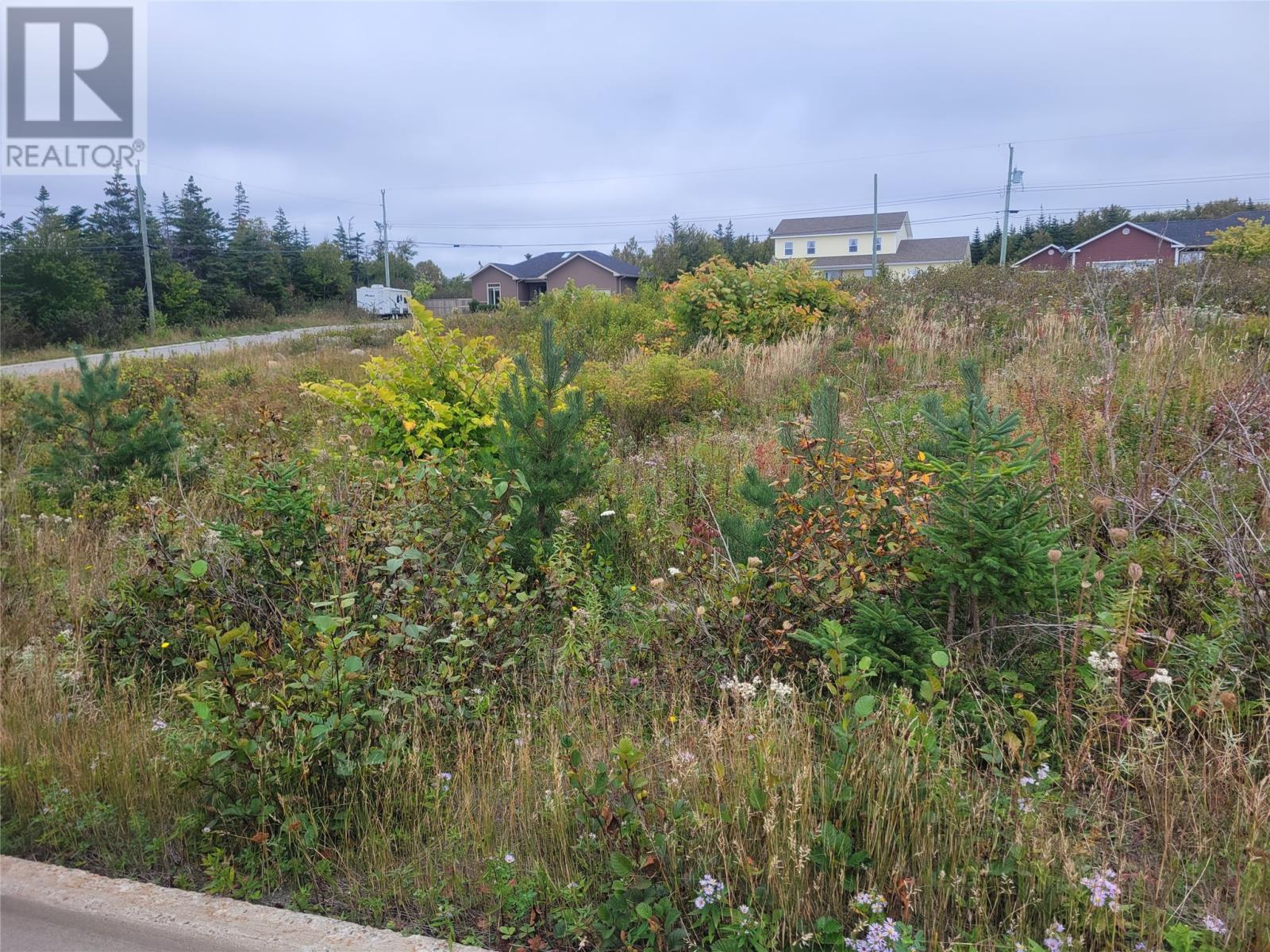 1 Ridgeview Avenue, Stephenville, Newfoundland & Labrador  A2N 0B7 - Photo 1 - 1296068