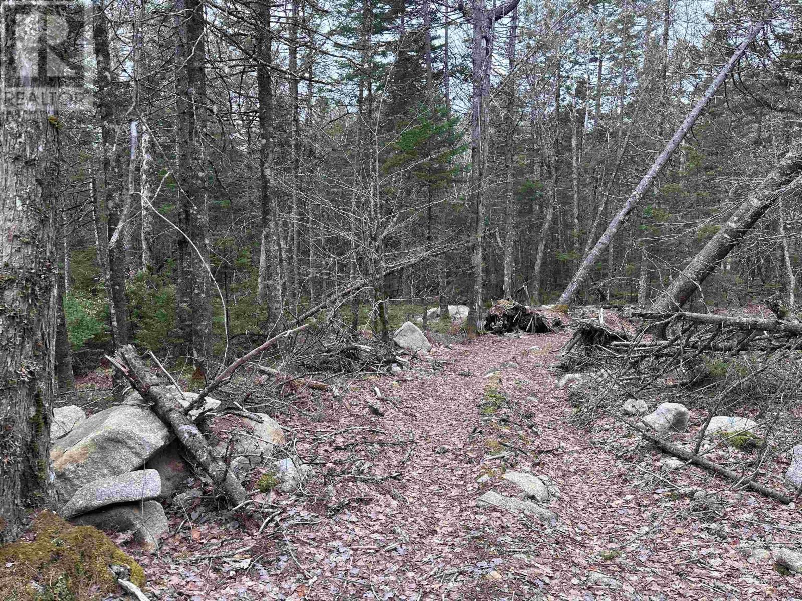 443 Turner Point Drive, Walden, Nova Scotia  B0J 2E0 - Photo 16 - 202608083